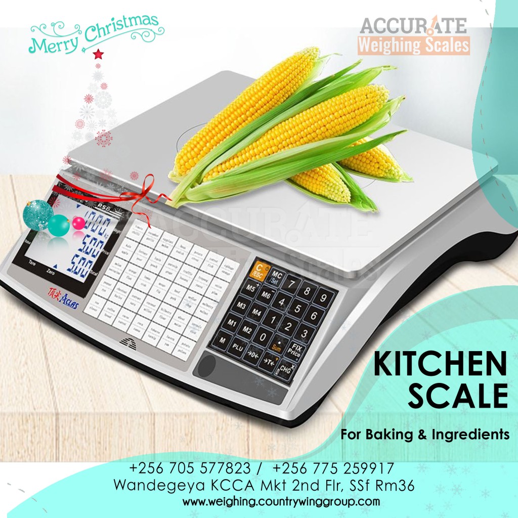 kitchen scales